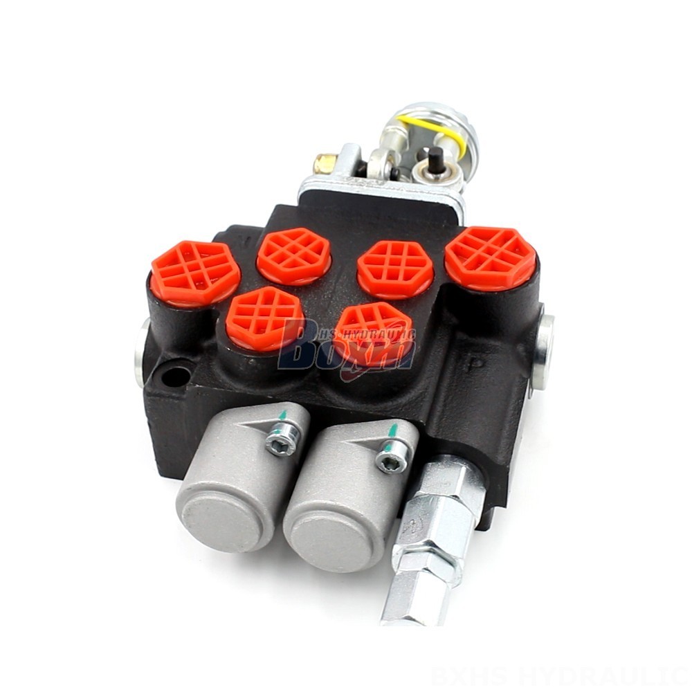 2 Spool Monoblock Valve | P40-2OT | Technical Specifications & Design cover photo